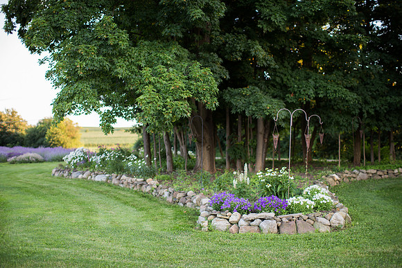 Lockwood Lavender Farm-17