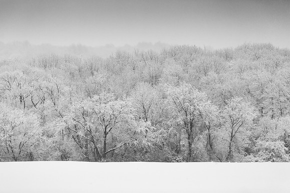 February 2020 Skaneateles-4