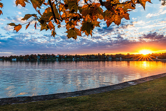 fall-14