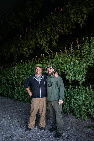 Taproot Harvest 2021 Northeast Leaf-24