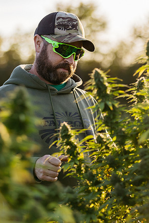 Taproot Harvest 2021 Northeast Leaf-30
