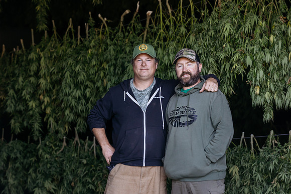 Taproot Harvest 2021 Northeast Leaf-25
