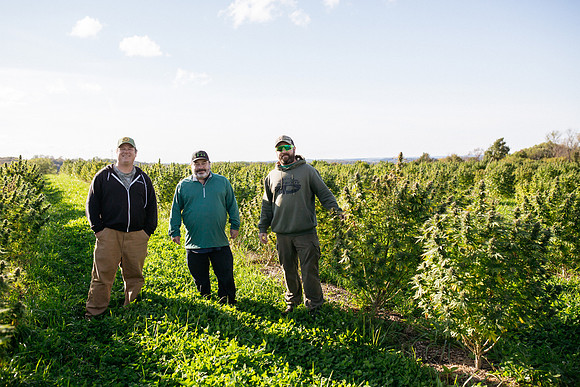Taproot Harvest 2021 Northeast Leaf-18