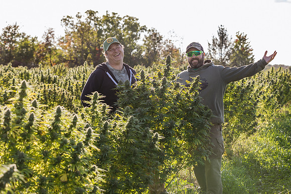 Taproot Harvest 2021 Northeast Leaf-23