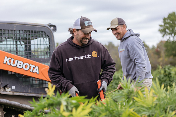 Taproot Harvest 2021 Northeast Leaf-11