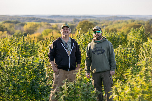 Taproot Harvest 2021 Northeast Leaf-29