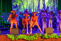 5th grade musical 2025-1