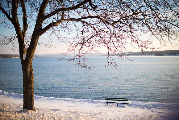 Buttolph Winter 2013-17
